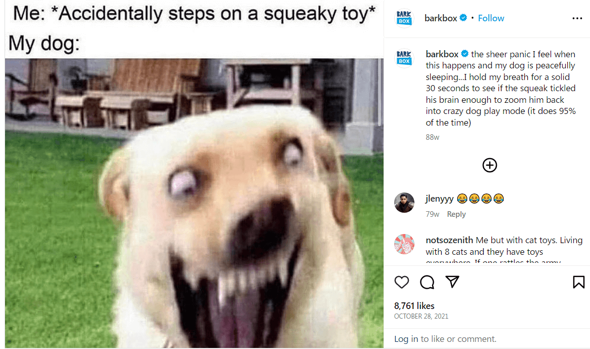 Barkbox meme 