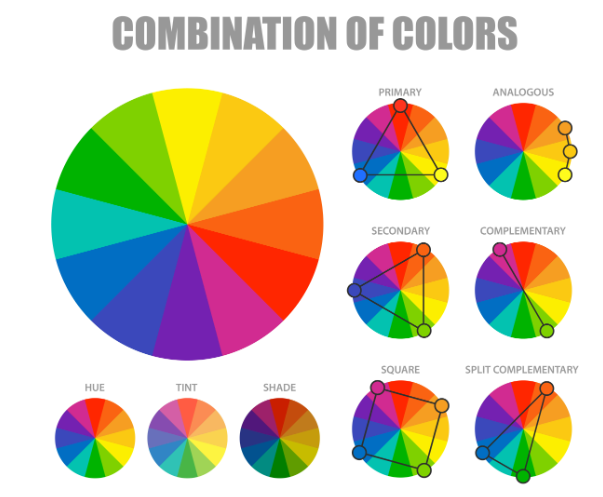 Test Your Palette