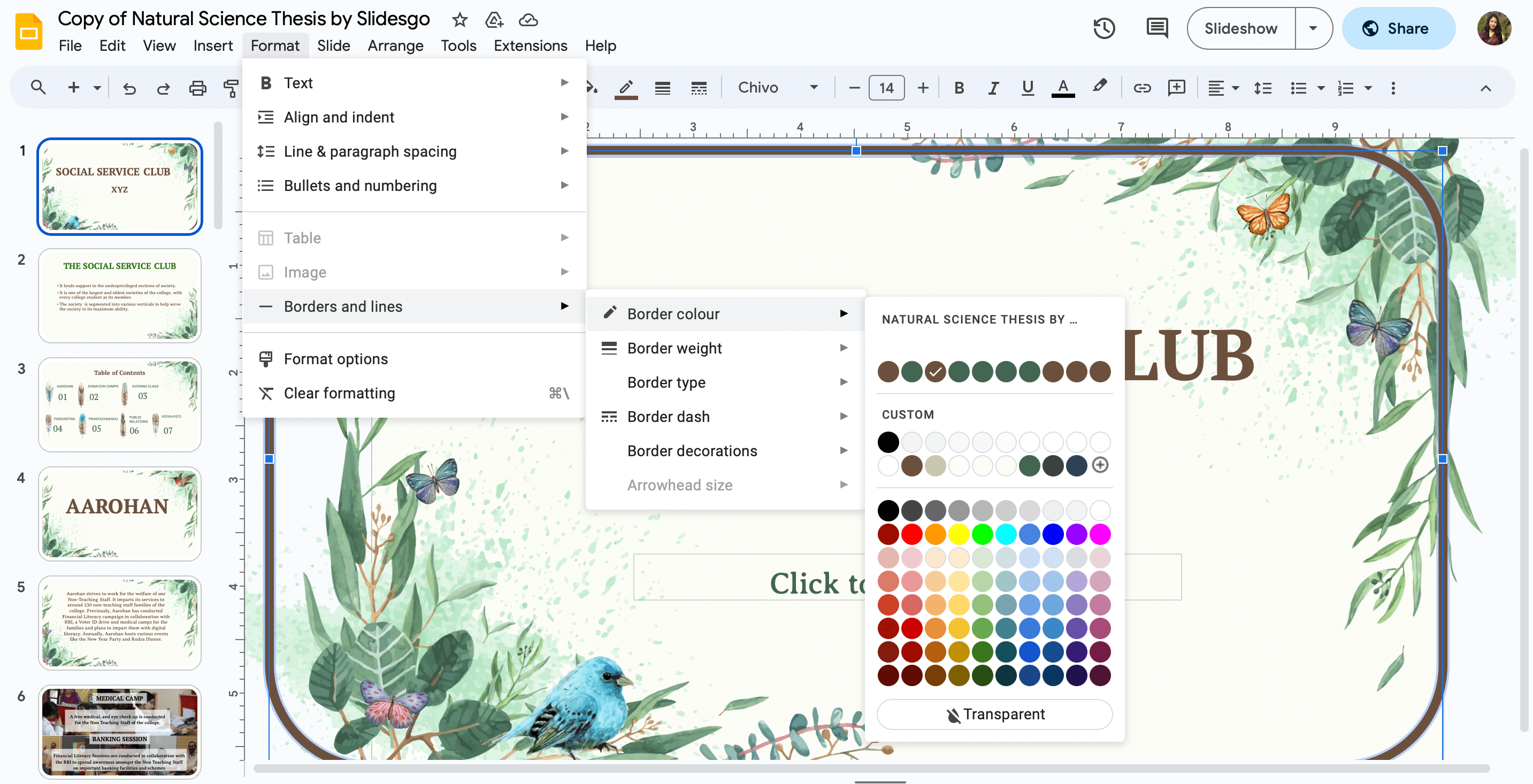 Customize the Border Size and Color