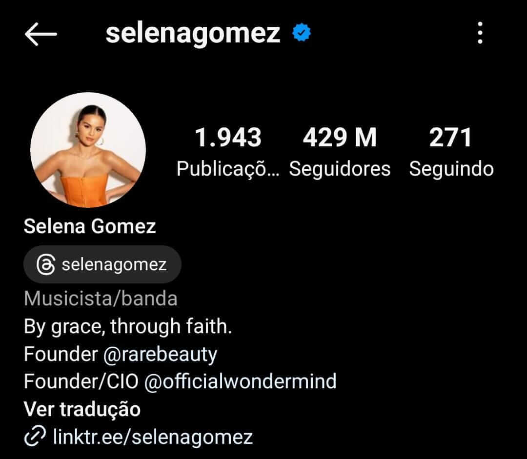 Elementos essenciais de uma biografia no Instagram