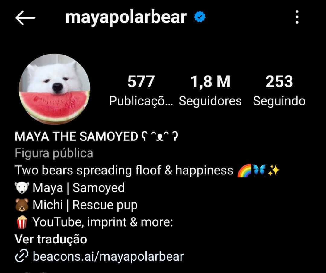 Maya