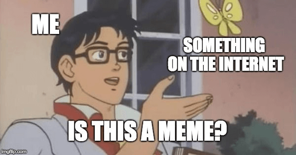 What is a 'meme'?