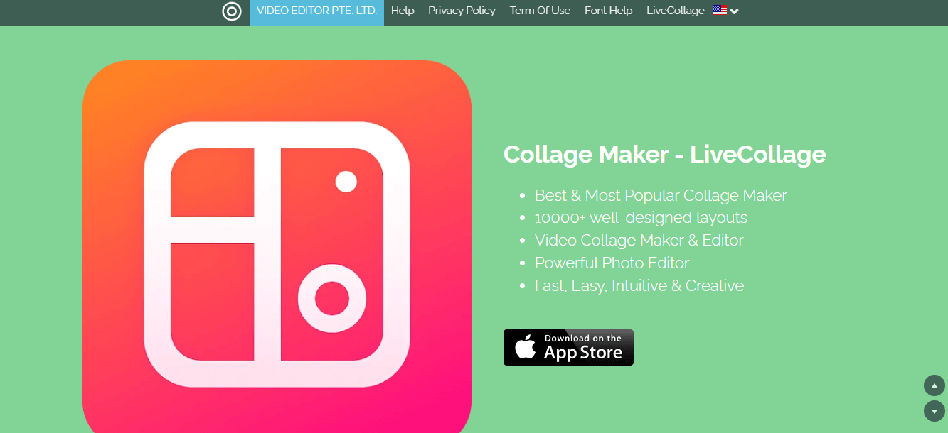 Best Collage Makers Online/Apps You Can't Miss