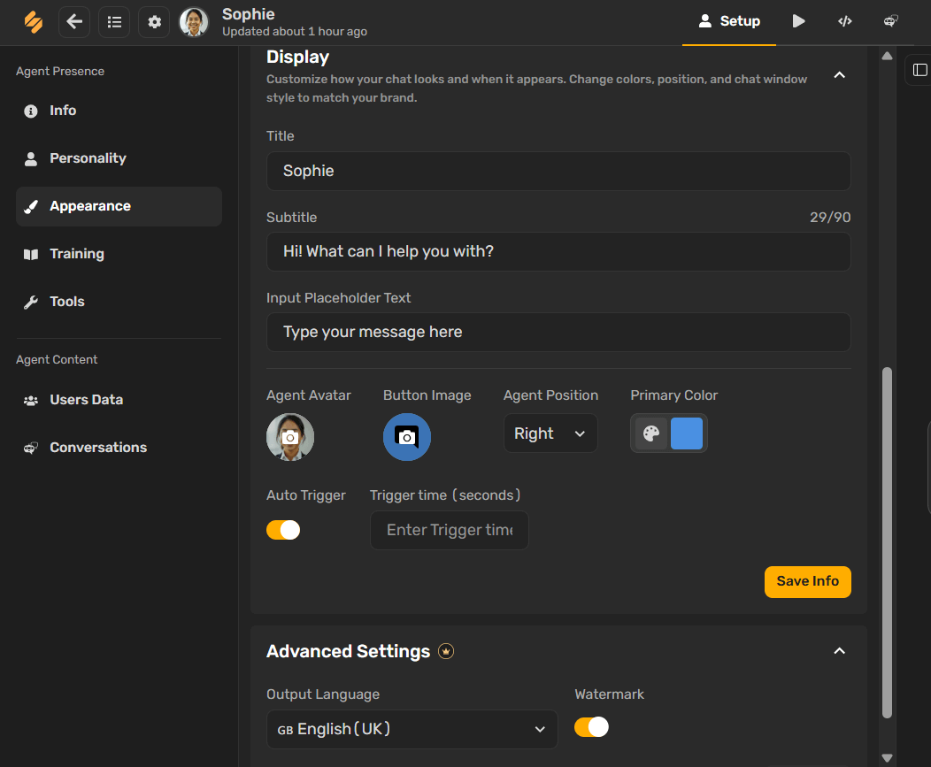 Design the Chat Interface