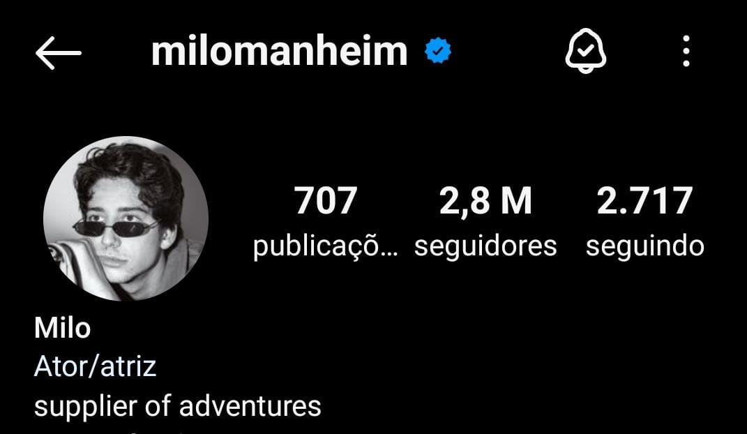bio do Instagram
