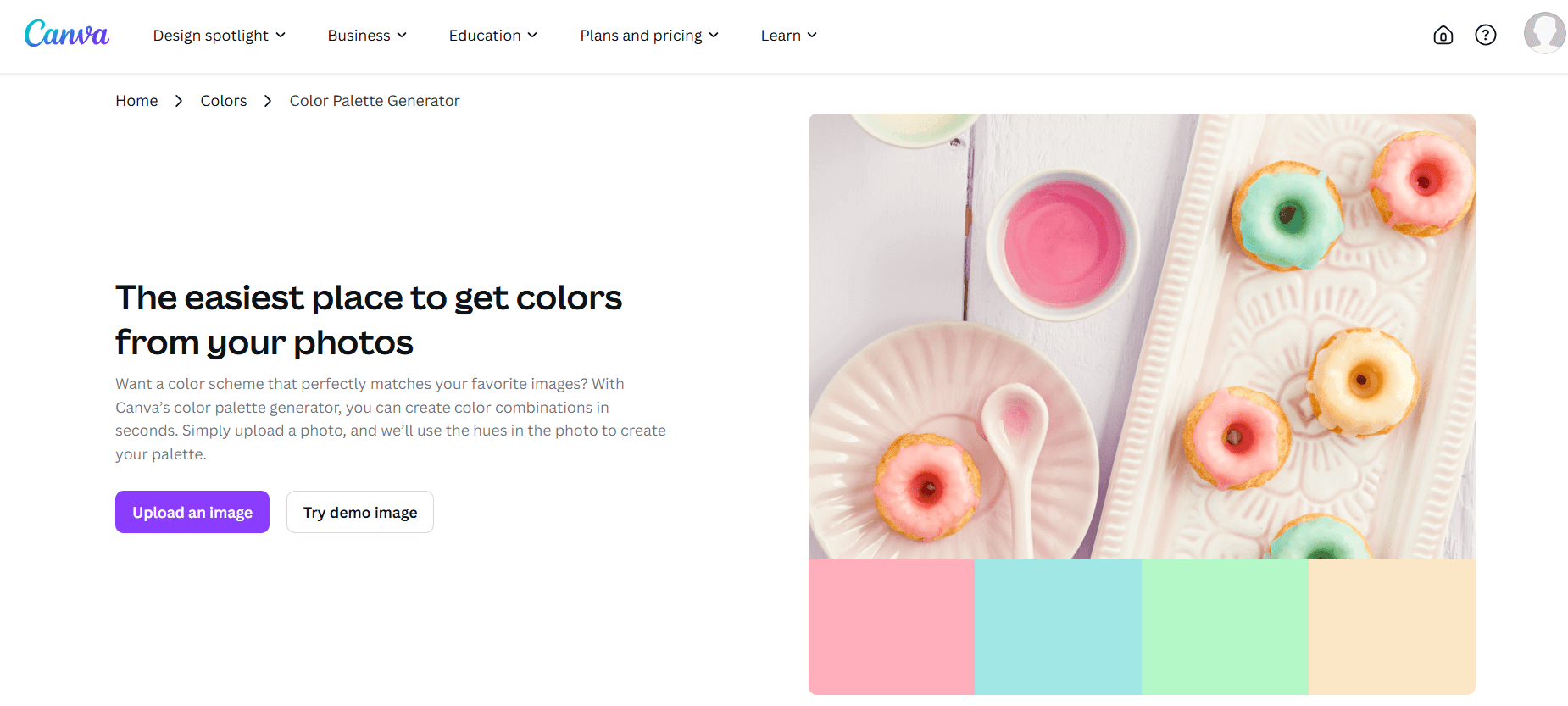 canva color palette generator