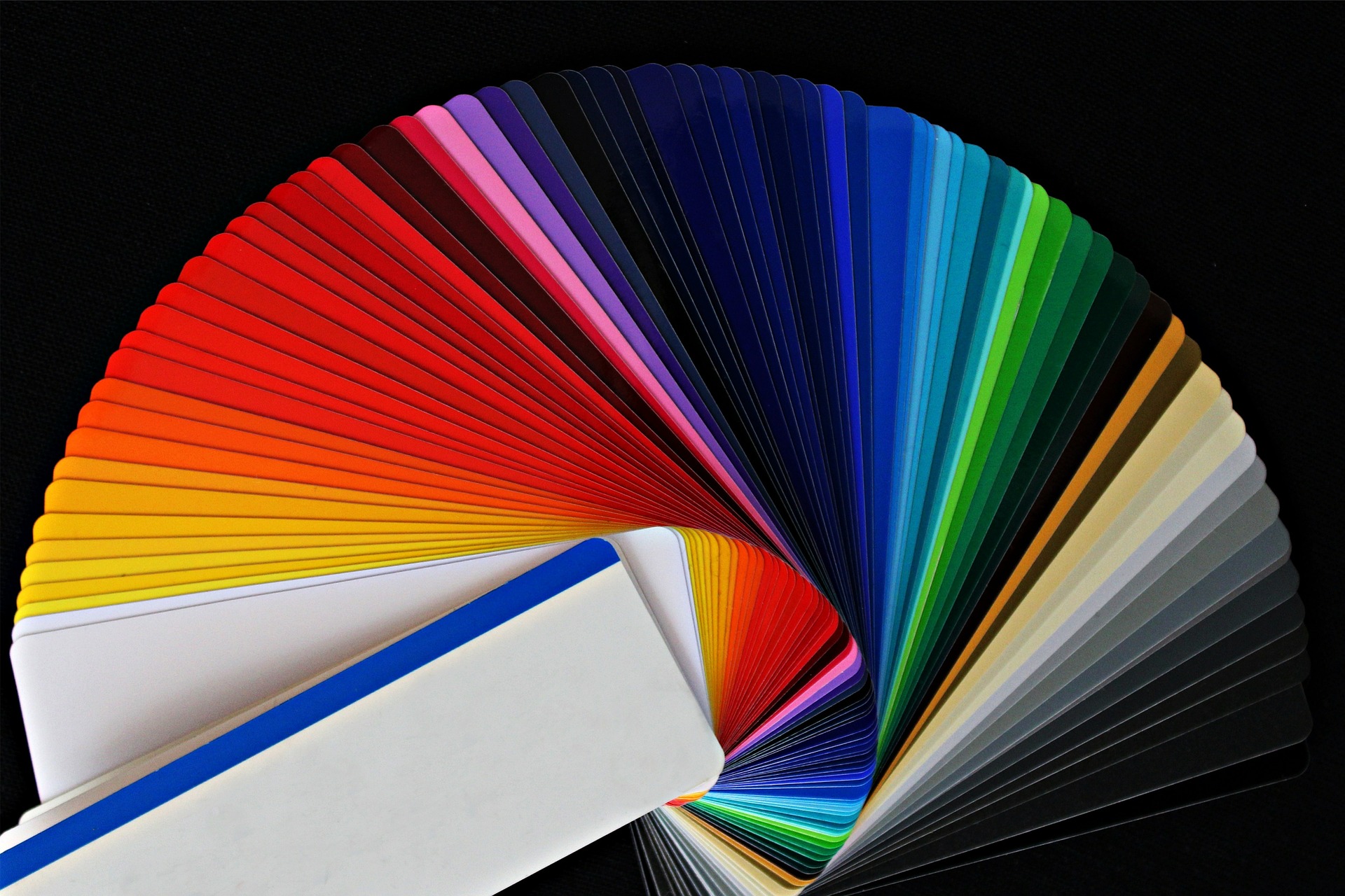 Conoce la paleta de colores