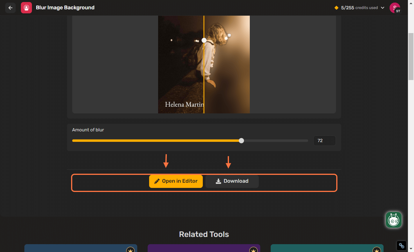 Download the Image and Open Editor for Further Changes