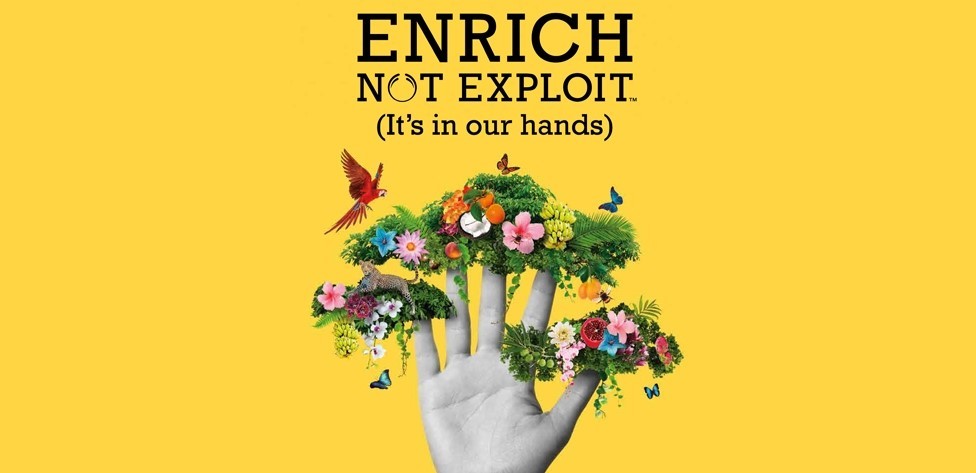 emphasize-visual-heirarchy