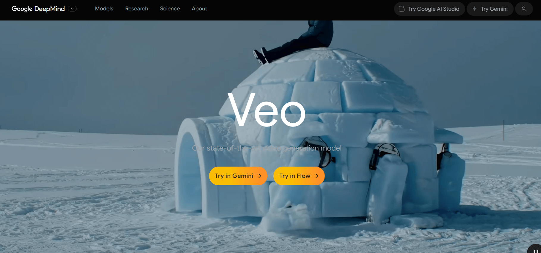 Google Veo