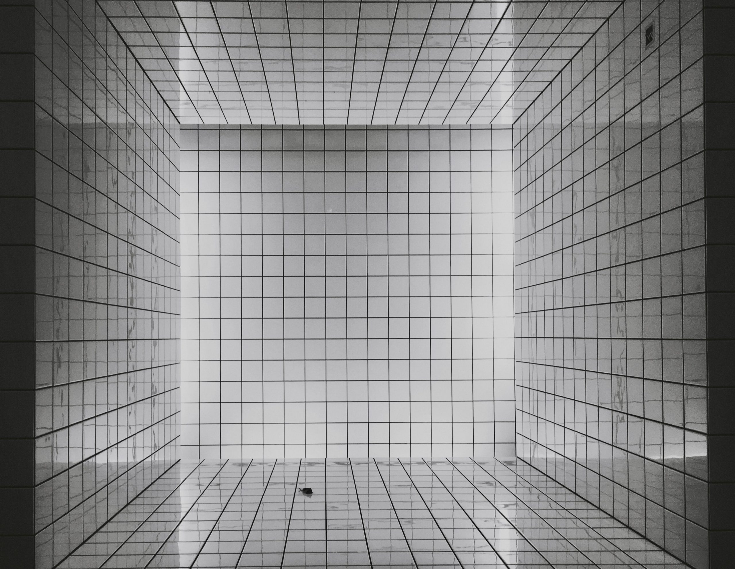 grids-in-graphic-design
