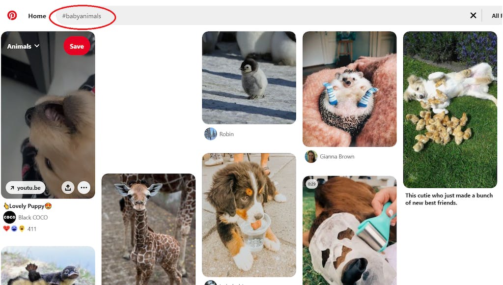 hashtags on pinterest hashtags on pinterest