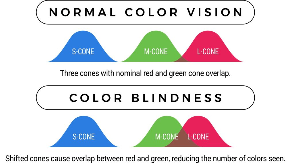 100 colors : 20 nice and colorlind friendly palettes for graphic designers  : r/ColorBlind