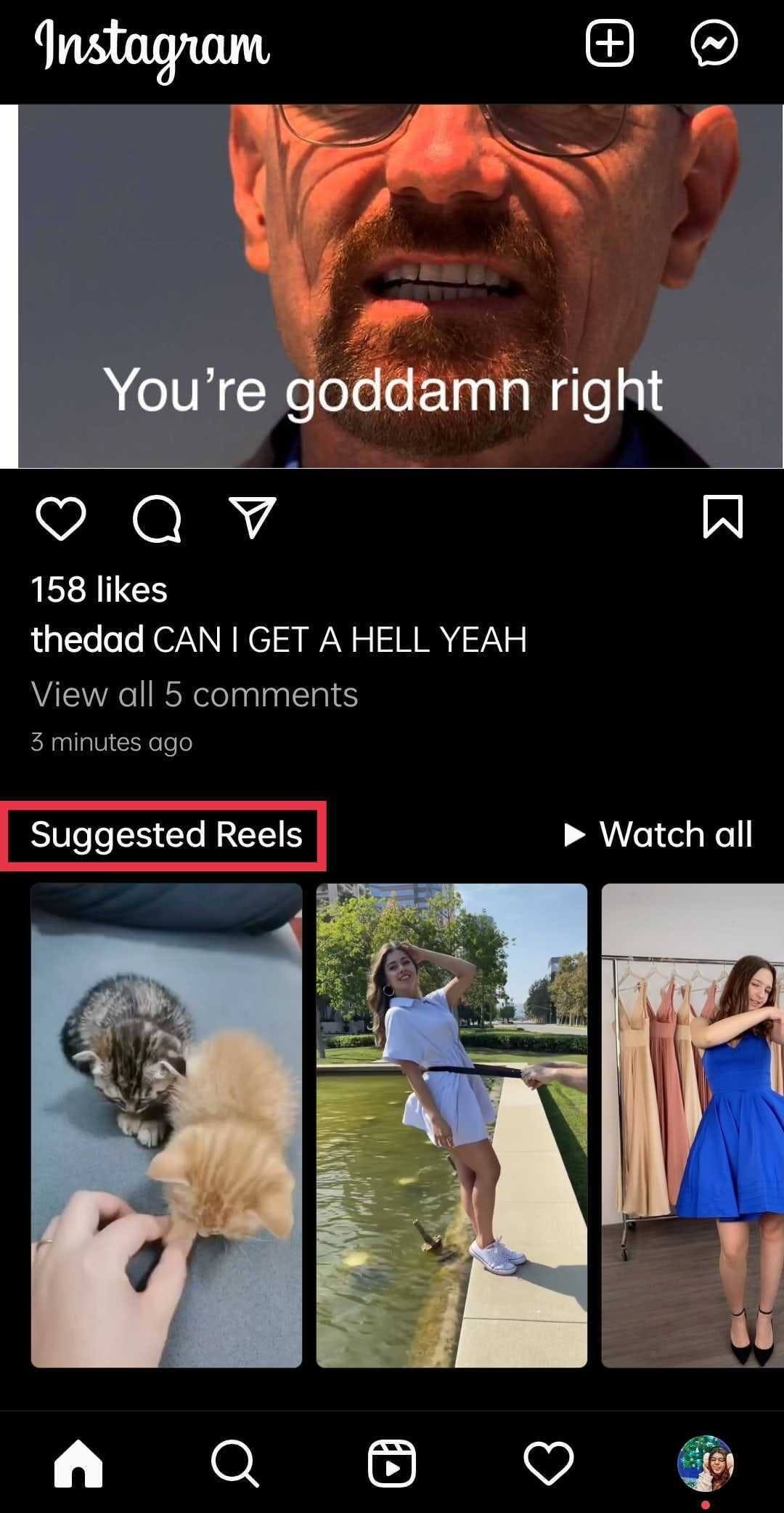 Instagram reels