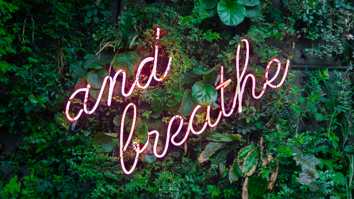 and breathe image unsplash and breathe image unsplash