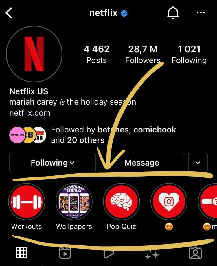netflix-story-highlights-examples netflix feed and story highlight example