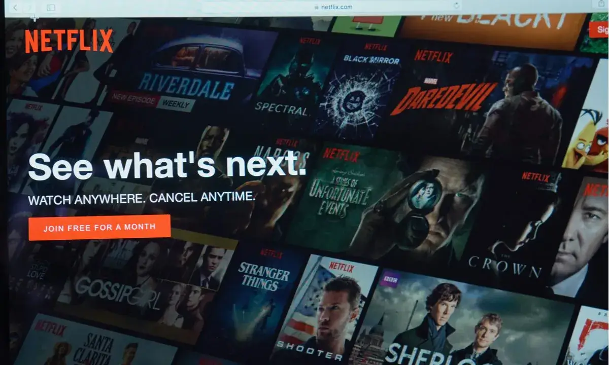 Netflix: "See What's Next"