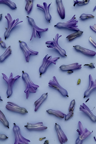 purple-monochrome color example