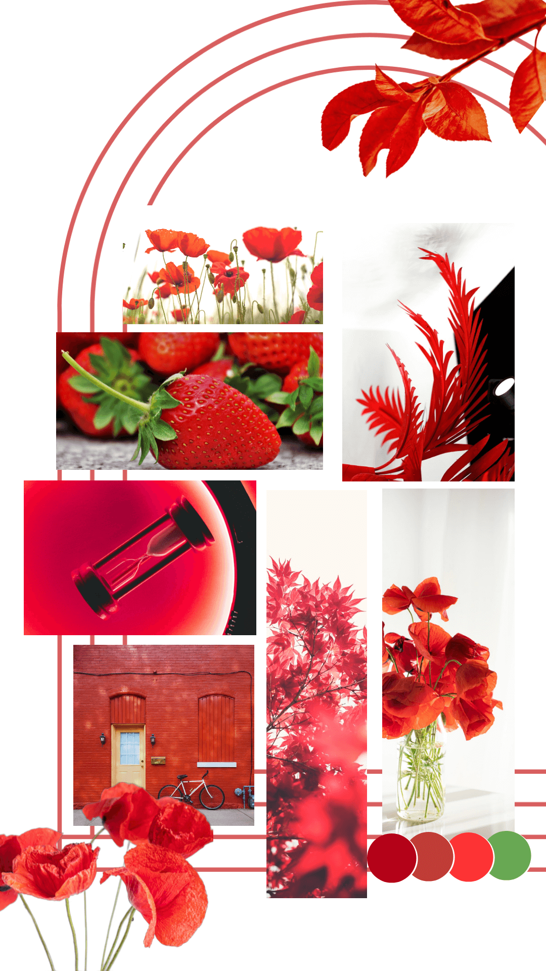 Engaging Visuals