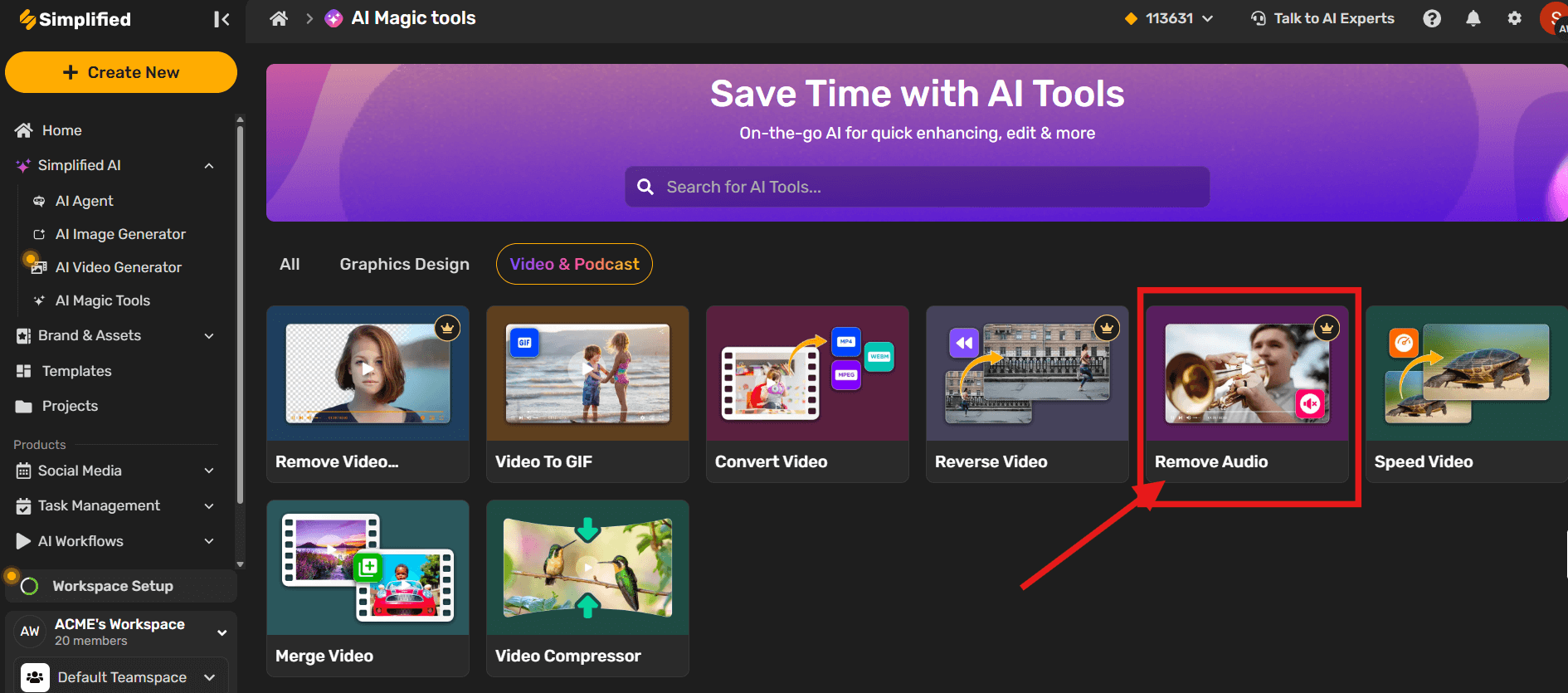 Remove Audio Tool