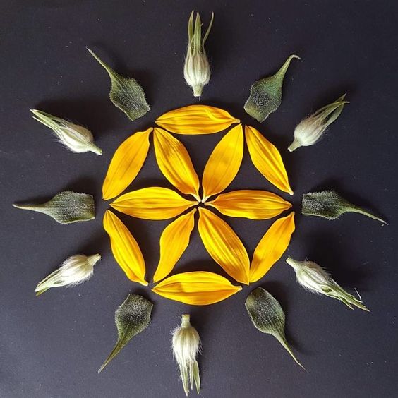 rotational-symmetry