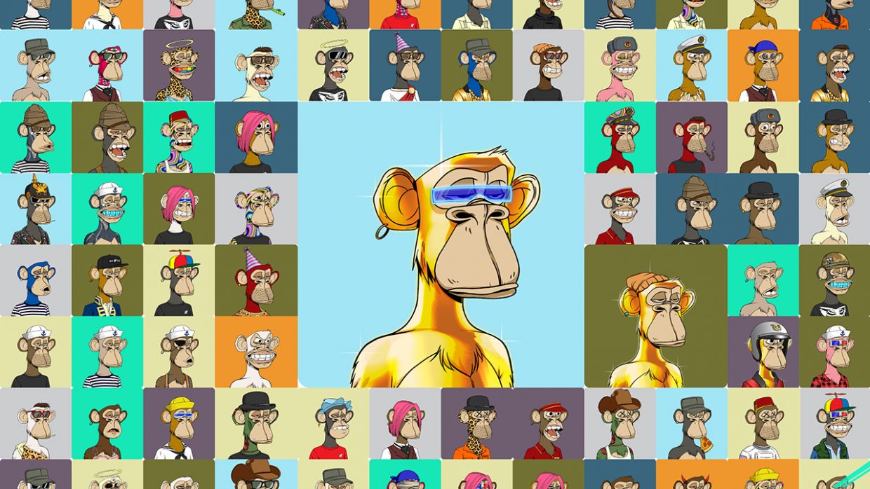 bored ape