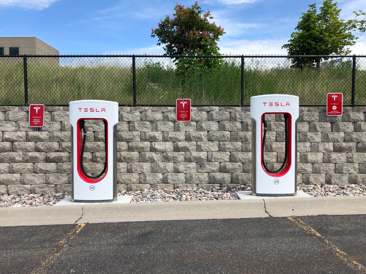 tesla-branding-case-study
